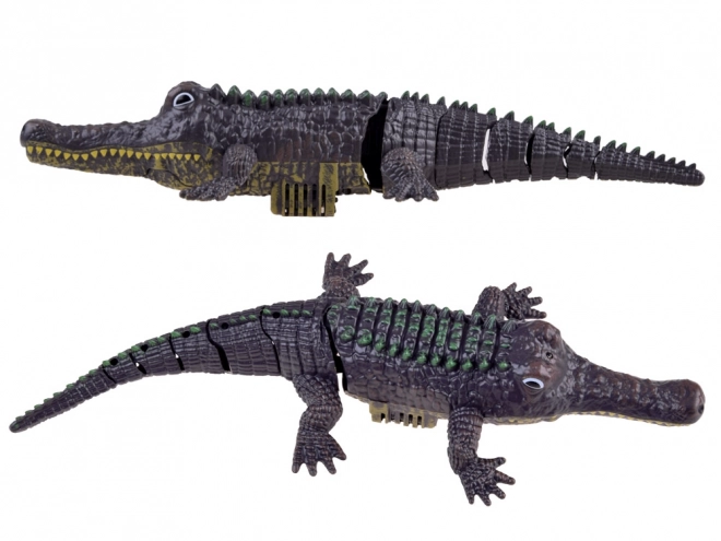Remote Controlled Crocodile Toy