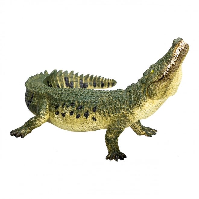 Realistisches Krokodil mit Beweglichem Kiefer