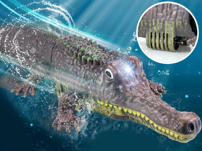 Remote Controlled Crocodile Toy