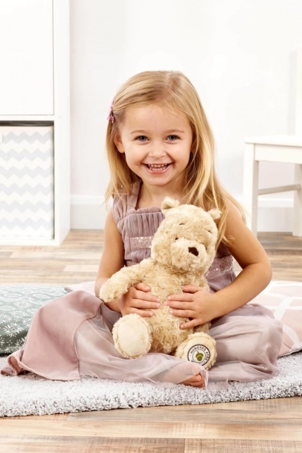 Regenboog Knuffel Winnie de Poeh uit het Honderd Bunder Bos