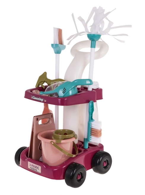 Schoonmaakkar met handstofzuiger en accessoires
