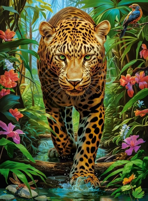 Puzzel Luipaard in het wild van Castorland, 2000 stukjes