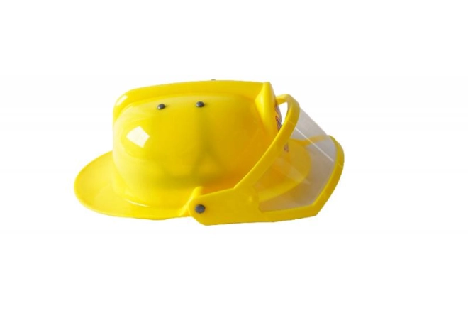 Flip-up clear visor
