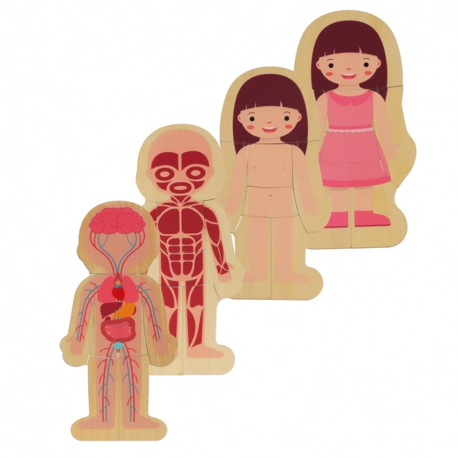 Educational Wooden Body Construction Puzzle Montessori for Girls