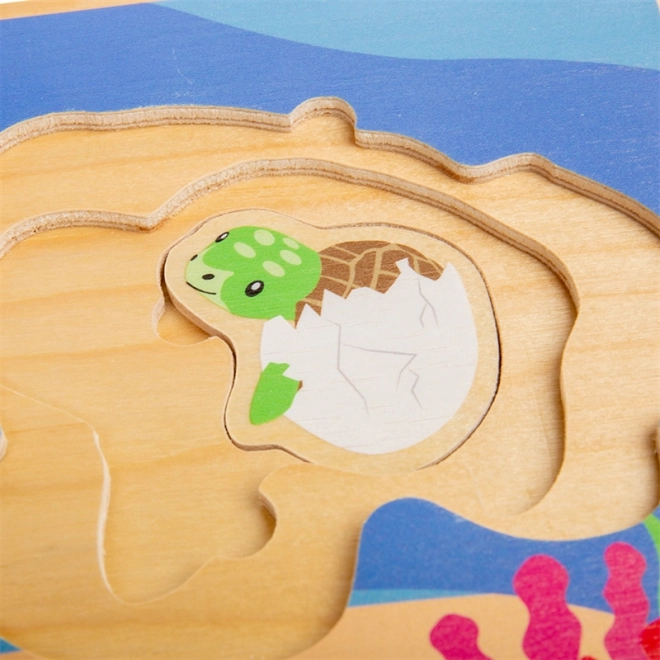 Puzzle Bigjigs Toys Cycle de vie de la tortue