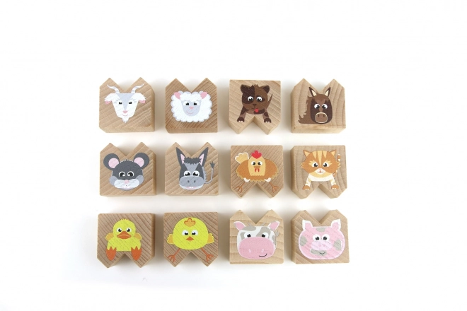 Houten balansspel met huisdieren