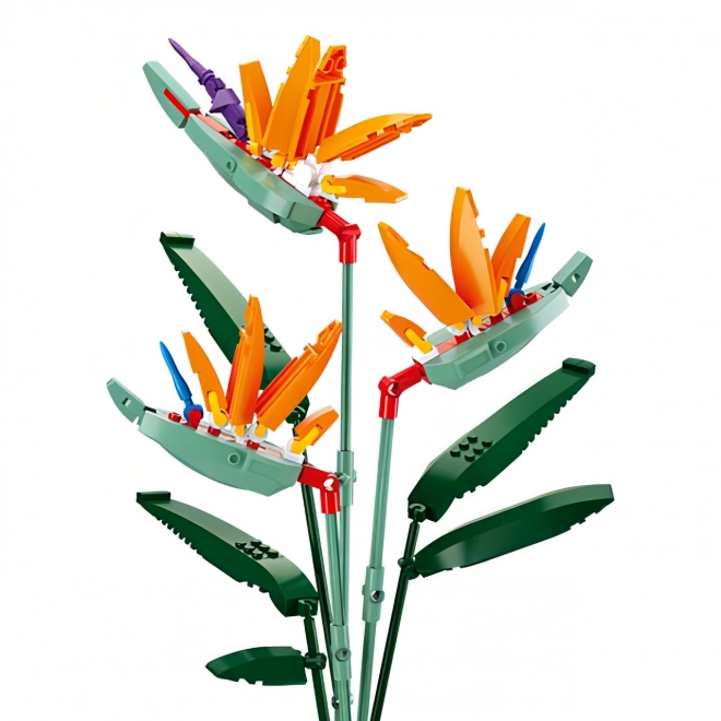 Sluban Flowers Strelitzia Reginae