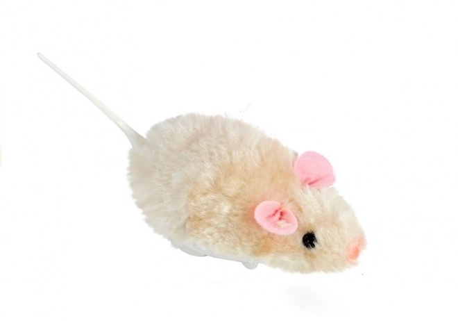 Schroefmuis beweegt met staart
