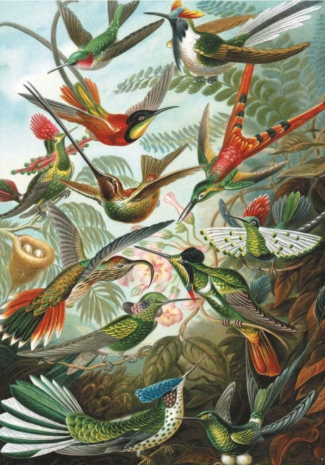 Puzzel Kolibries 1000 stukjes