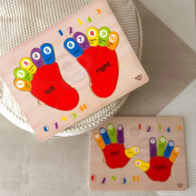 TOOKY TOY Lernpuzzle aus Holz - Zahlen und Farben lernen