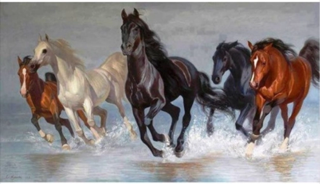 Diamant schilderen NORIMPEX – kudde paarden 80 × 40 cm