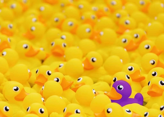 Ravensburger puzzel Eendjes 1000 stukjes