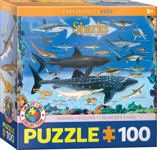 Puzzel Haaien 100 stukjes