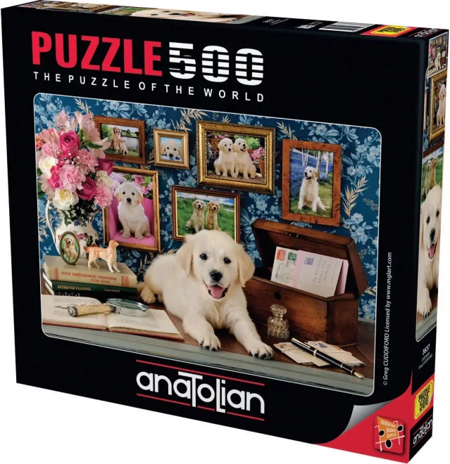 Puzzle Labrador 500 pieces