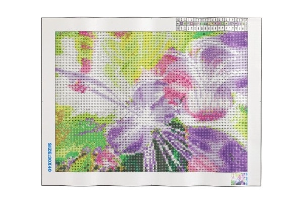 Set voor diamant schilderen - magische violiste
