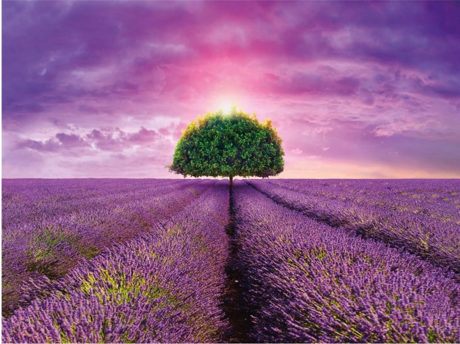 Aussehen der Provence