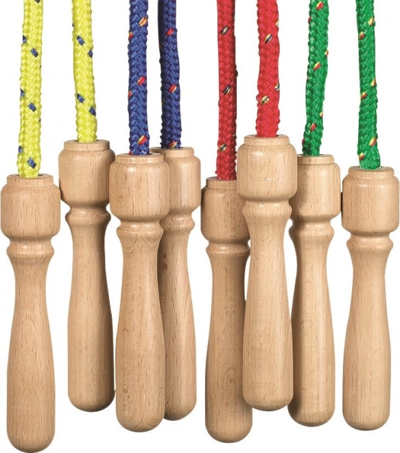 GOKI springtouw met houten handvatten 255 cm, 1 stuks (mix)