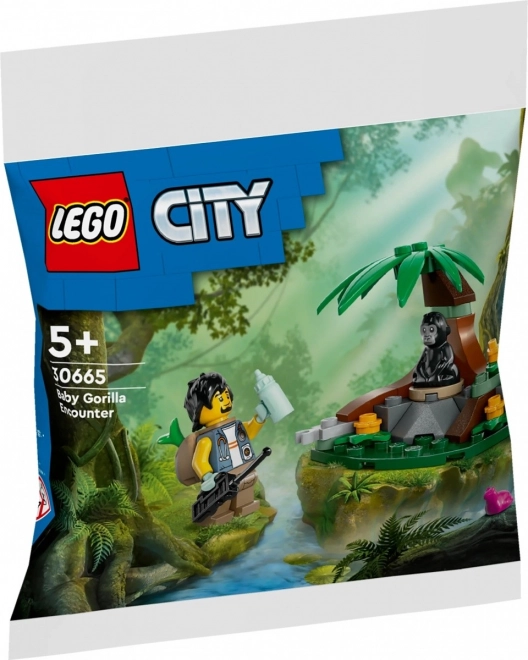 City Adventure Bricks Meeting with a Small Gorilla