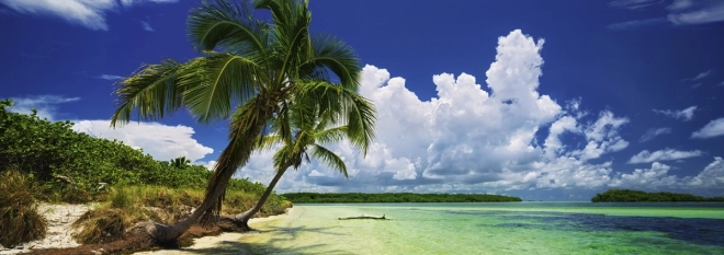 Tropisch motief van een paradijselijk strand