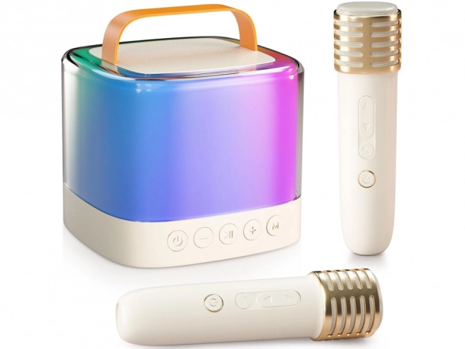 Microfoon met draadloze luidspreker en Bluetooth