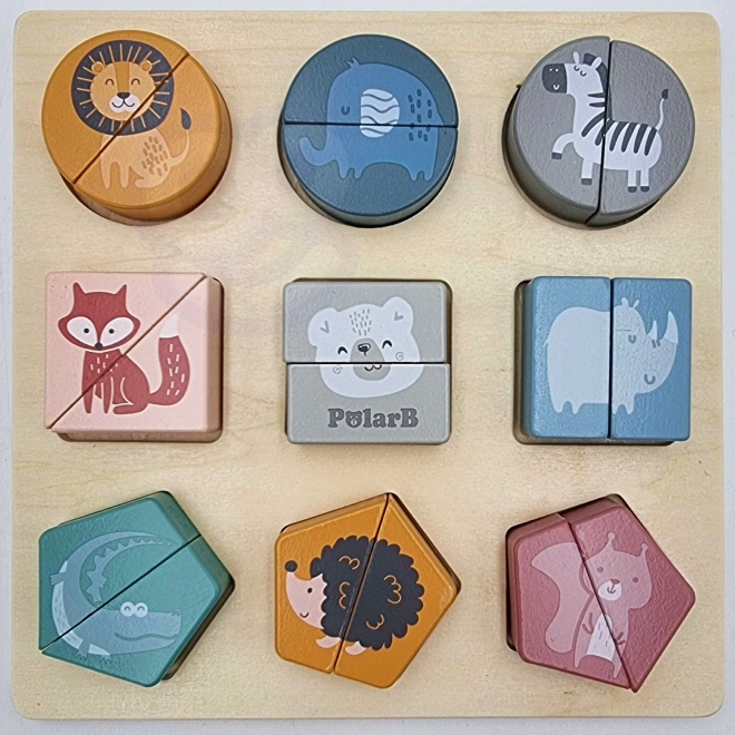 Shape Puzzle PolarB