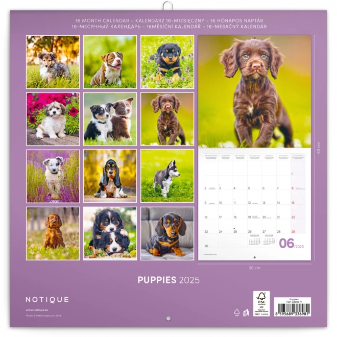 Notitiekalender Puppies 2025, 30 × 30 cm