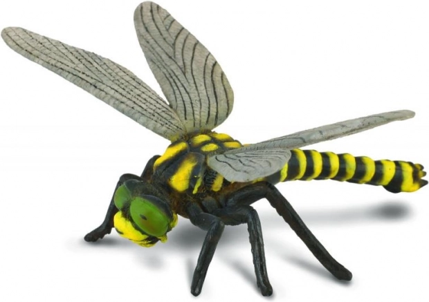 Collector's Figurine Dragonfly