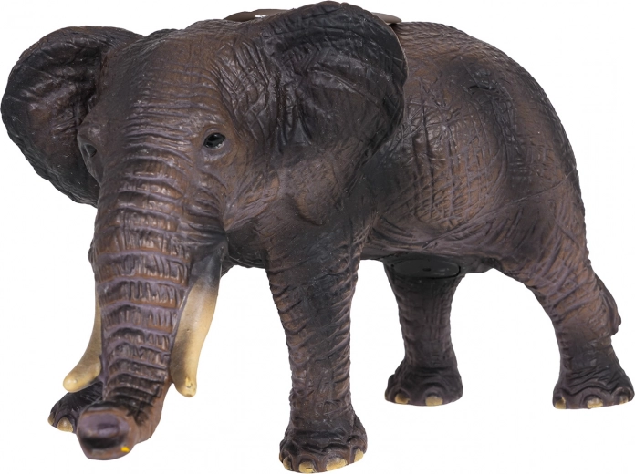 Realistische details en robuuste uitvoering