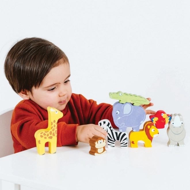 Le Toy Van Petilou Stapeltoren Afrika 9 stuks
