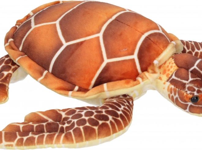 Large Plush Turtle