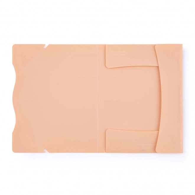 Folder with Elastic A4 Apricot PASTELINI