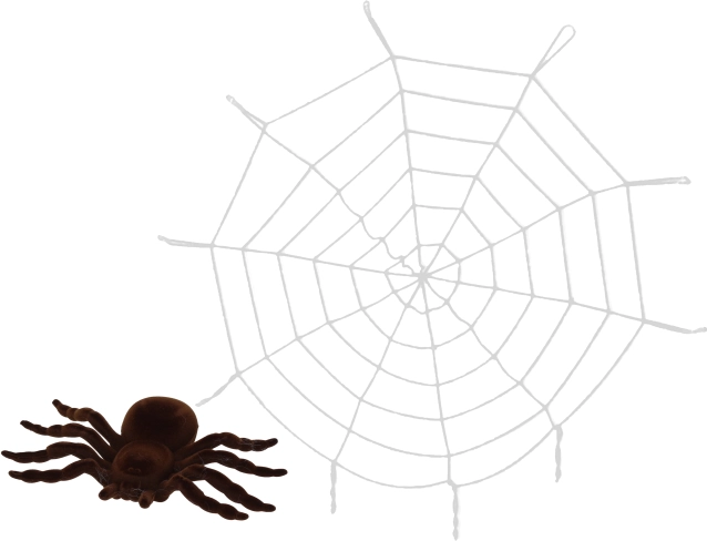 Dekoratives Spinnennetz mit Spinne