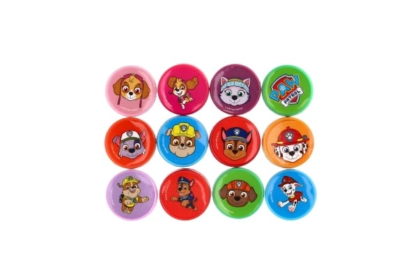 Zelfinktkussens 12 stuks plastic Paw Patrol in blister 12x9cm 10 stuks in doos