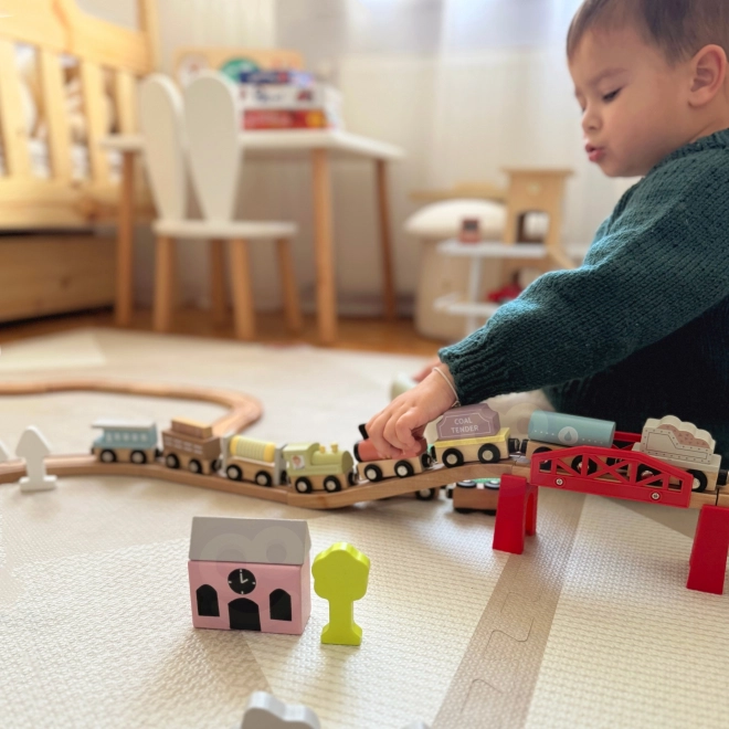 Tooky Toy houten magnetische treinwagons
