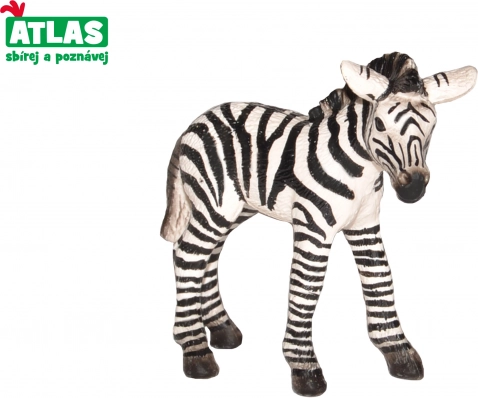 figurine poulain zèbre 7 cm