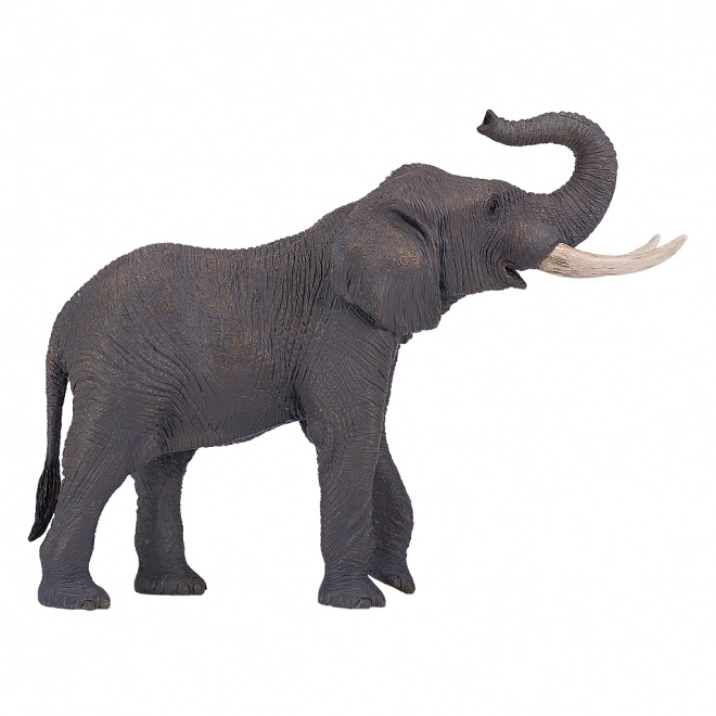 Mojo Afrikaanse Olifant