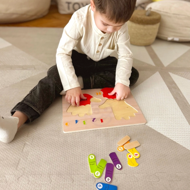 Educational Wooden Puzzle Hands Counting and Colors