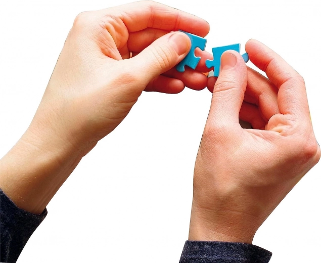 Supports fine motor skills and logic