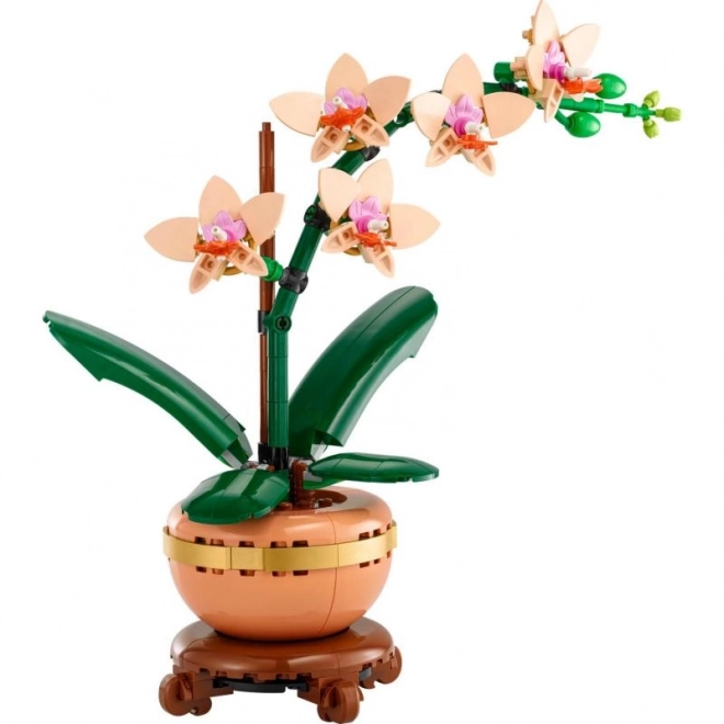 Lego Botanicals Orchid Arrangement