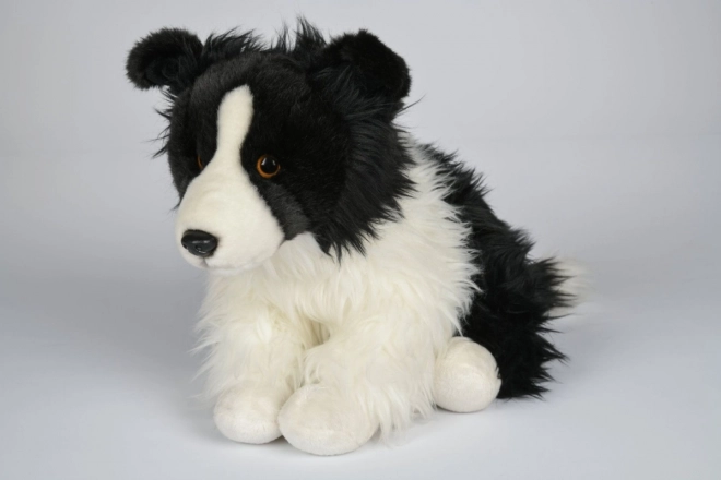 Pluchen Border Collie 35 cm