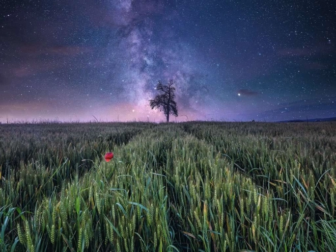 La force de la nature