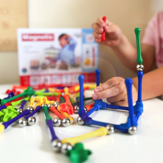 Magnetische bouwset Woopie 110 stukken