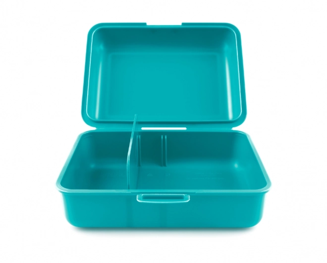 Snack Box with Dolphin Design
