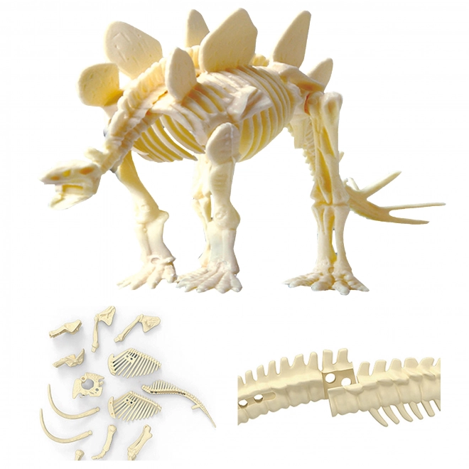 Woopie creatieve speelgoed dinosaurus skelet opgraving