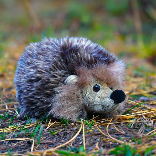 Plush Hedgehog 16cm Eco-Friendly
