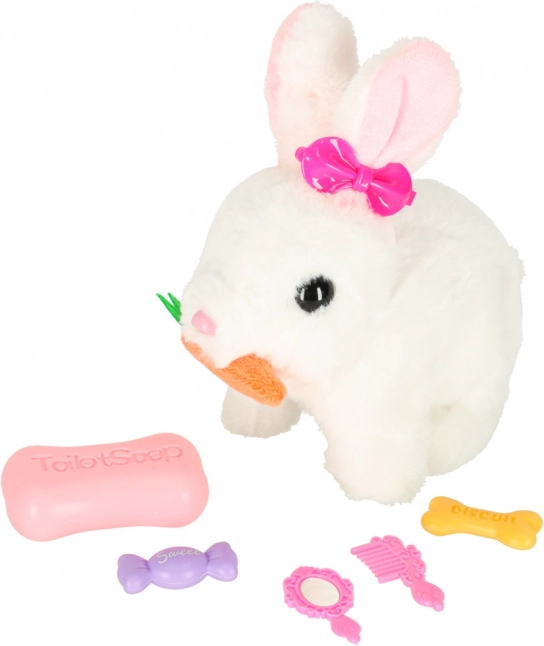 Lapin Interactif avec Carotte