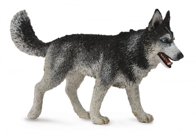 Collecta Siberian Husky Figurine