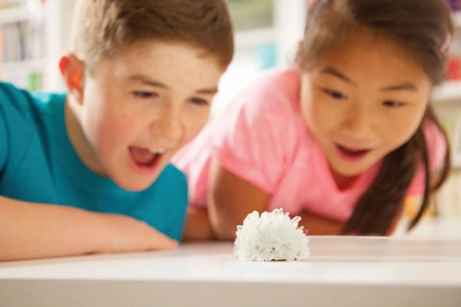 Learning through play for young scientists