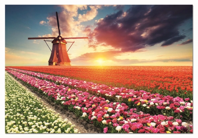 Puzzel Land van tulpen 1500 stukjes van EDUCA