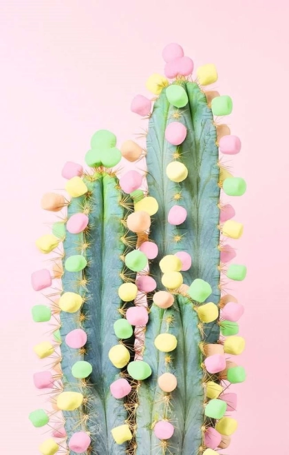 Puzzle RAVENSBURGER Puzzle Moment: Cactus 200 pieces